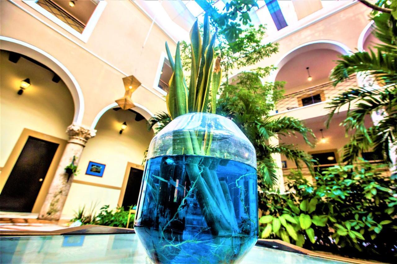 Holiday Inn Express Merida Centro By Ihg Esterno foto